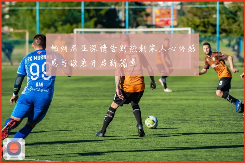 帕利尼亚深情告别热刺家人心怀感恩与敬意开启新篇章